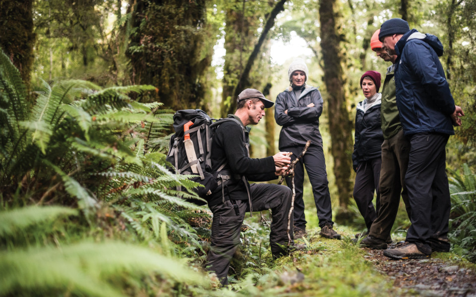 Guide explaining foliage to interested group of hikers