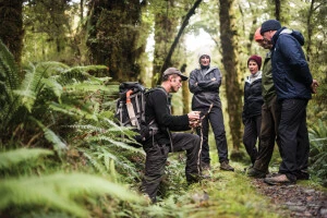 Guide explaining foliage to interested group of hikers